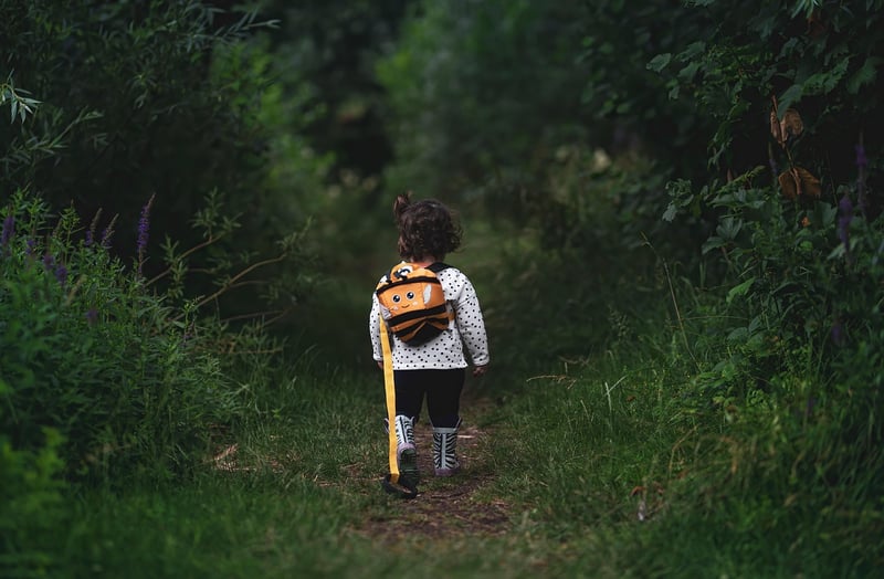 Amelia the Explorer