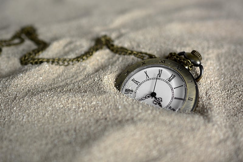 Max the Time Traveler